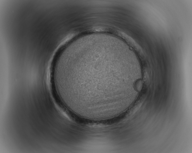 X0000087330730200705112156