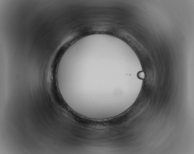 X0000087330731200705112156