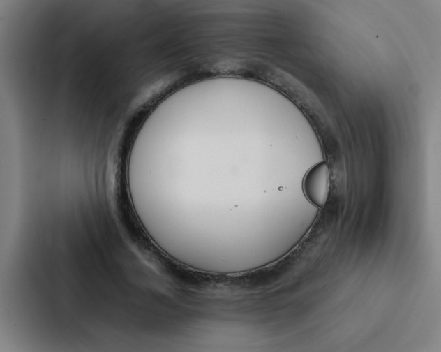 X0000087330732200705112156