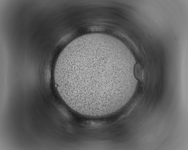 X0000087330733200705112156
