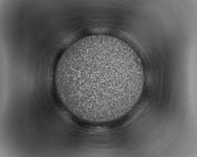 X0000087330737200705112156