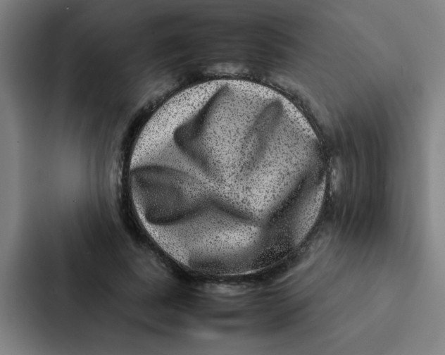 X0000087330739200705112156