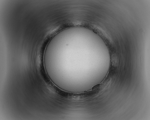 X0000087330740200705112156