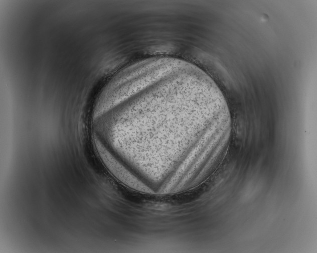 X0000087330743200705112156