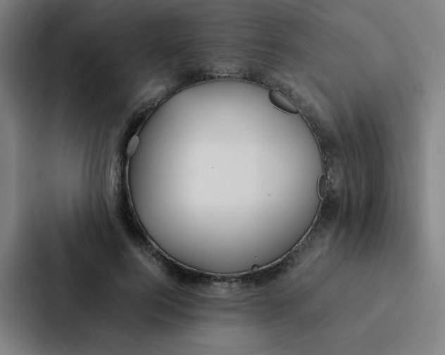 X0000087330744200705112156