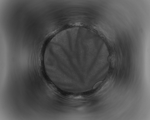 X0000087330747200705112156