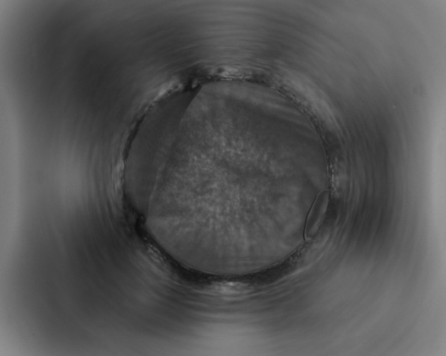 X0000087330748200705112156