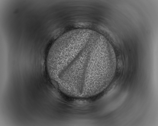 X0000087330749200705112156