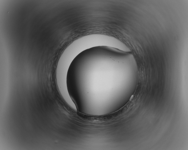 X0000087330750200705112156