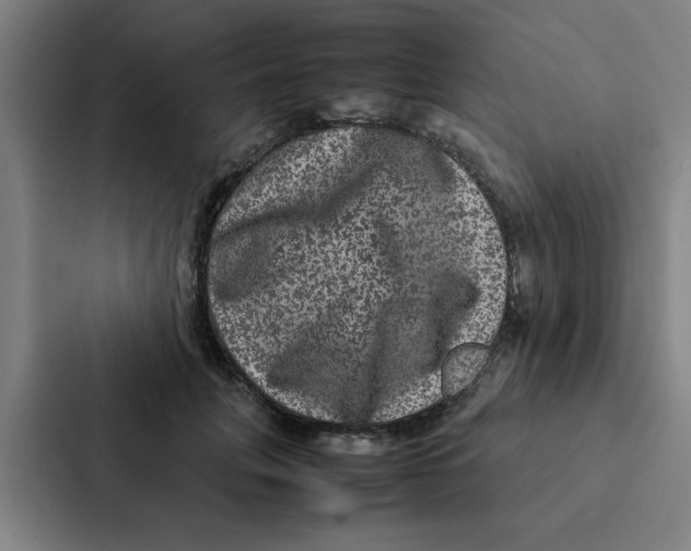X0000087330751200705112156