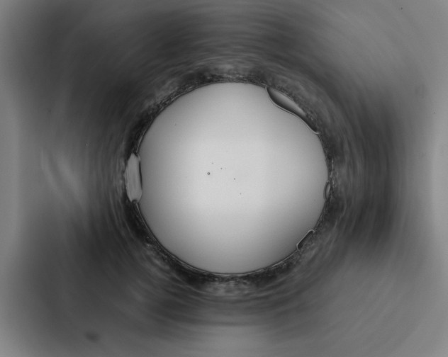 X0000087330752200705112156