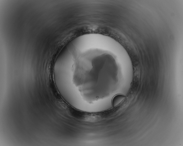 X0000087330754200705112156