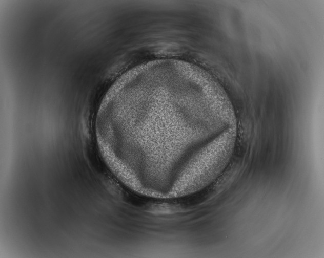 X0000087330755200705112156