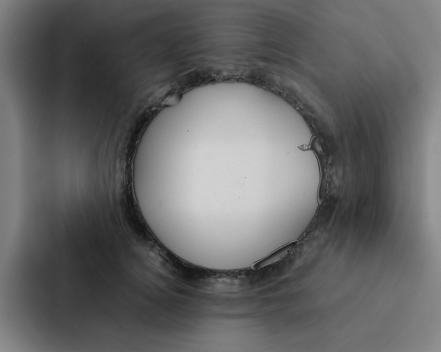 X0000087330756200705112156