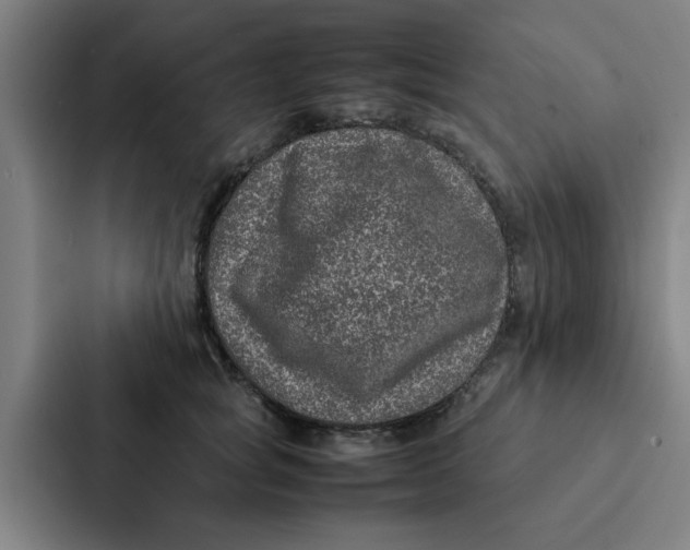 X0000087330757200705112156