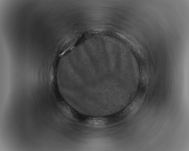 X0000087330758200705112156