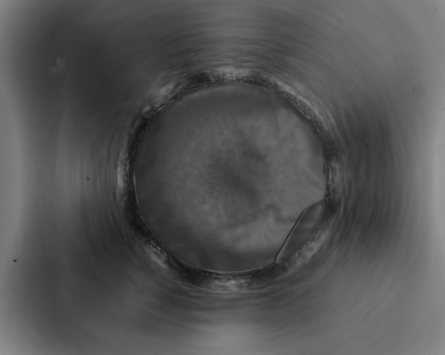X0000087330760200705112157