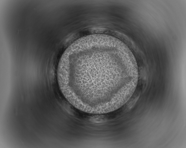 X0000087330761200705112157