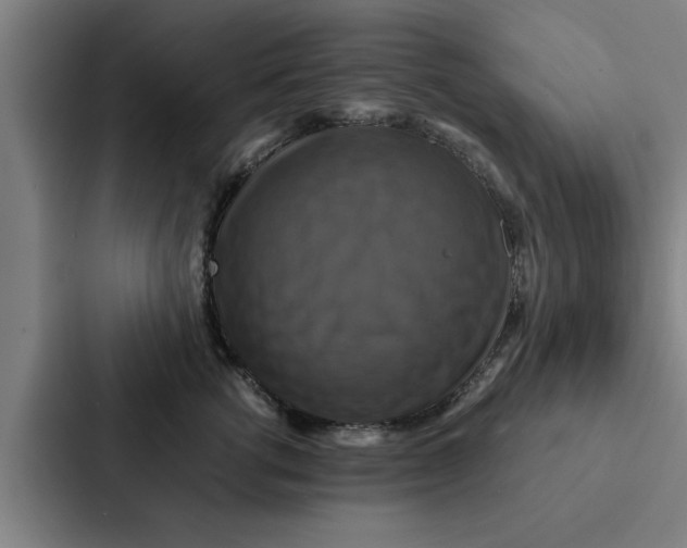 X0000087330762200705112157