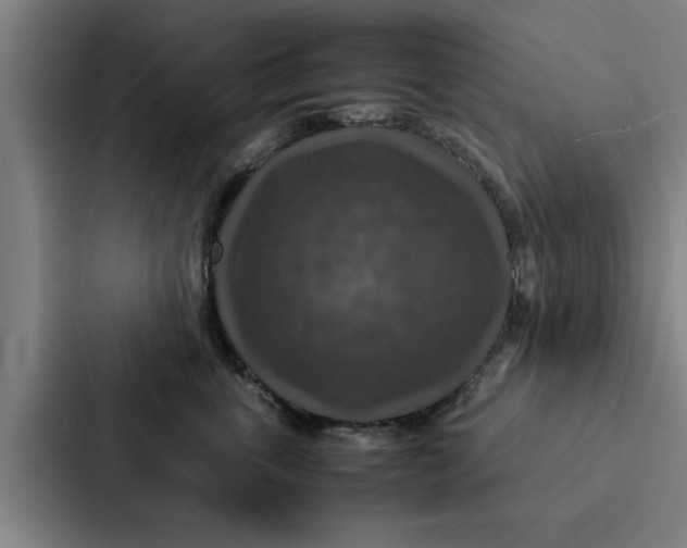 X0000087330763200705112157