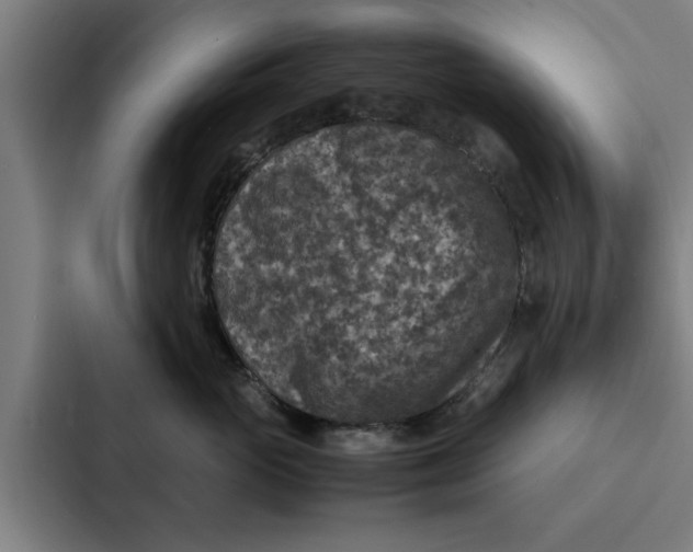 X0000087330765200705112157