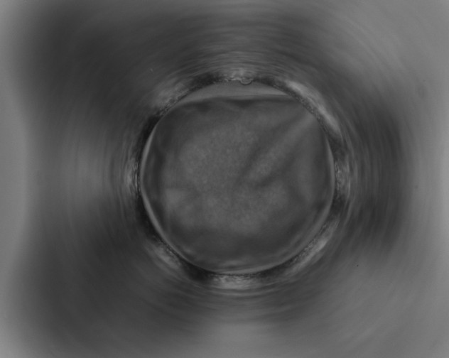 X0000087330766200705112157