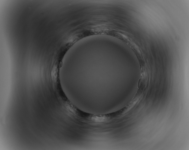 X0000087330767200705112157