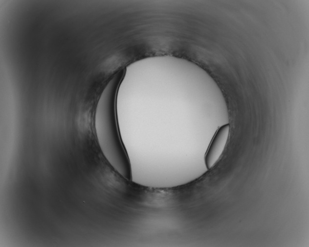 X0000087330768200705112157