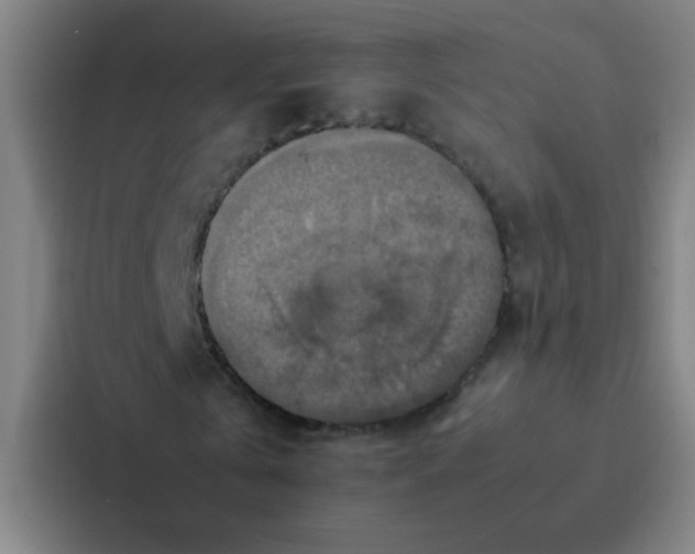 X0000087330769200705112156