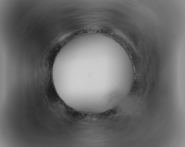 X0000087330773200705112156