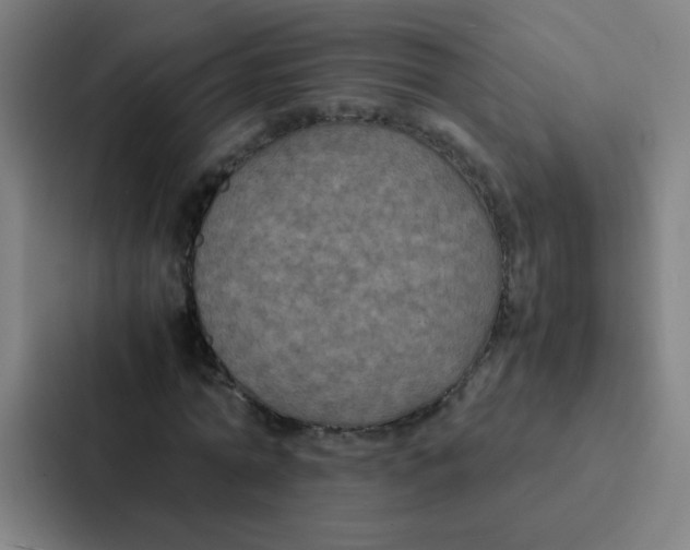 X0000087330774200705112156