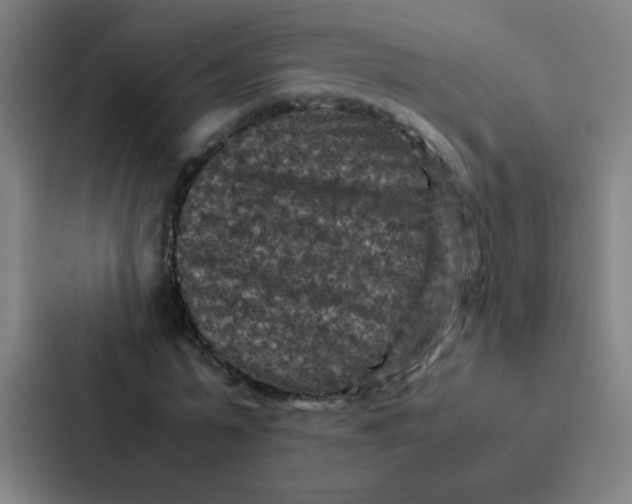 X0000087330775200705112156