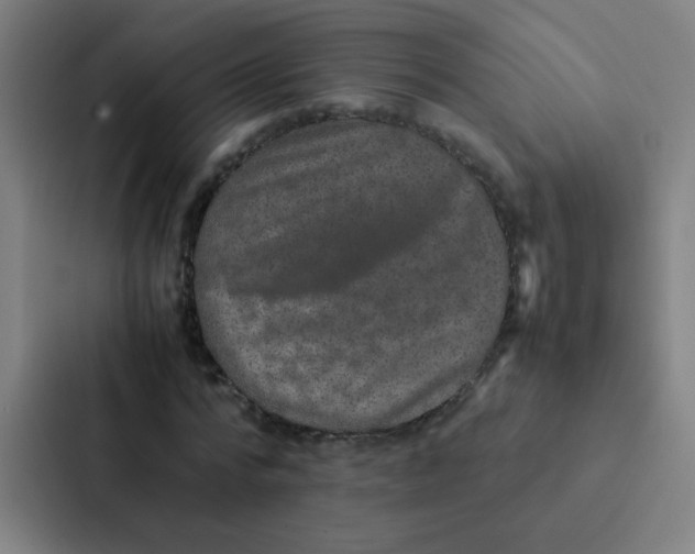 X0000087330776200705112156