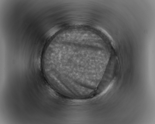 X0000087330777200705112156