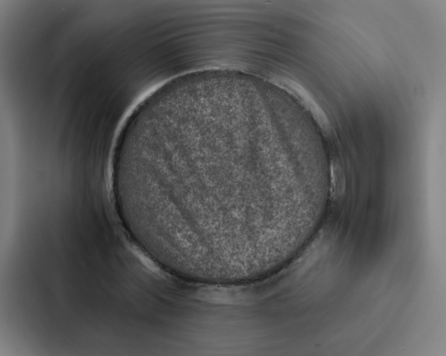 X0000087330780200705112156