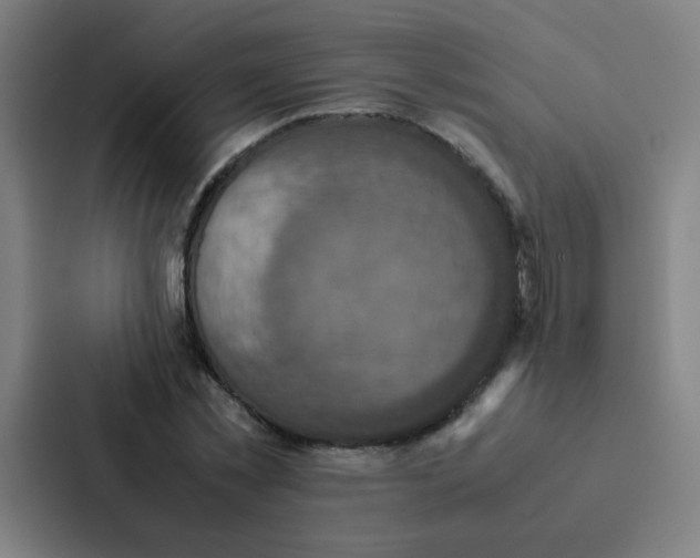 X0000087330781200705112156