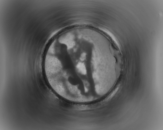 X0000087330783200705112156