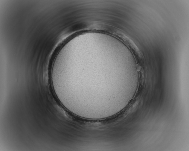 X0000087330784200705112156