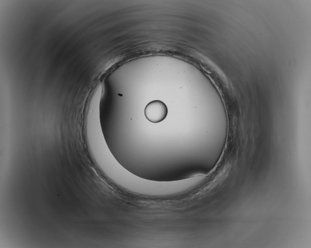 X0000087330785200705112156