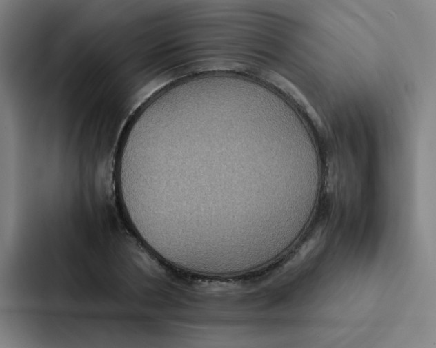 X0000087330786200705112156