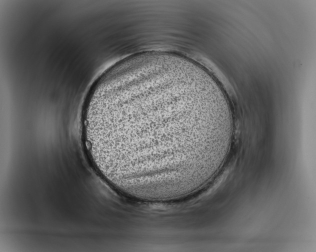 X0000087330787200705112156