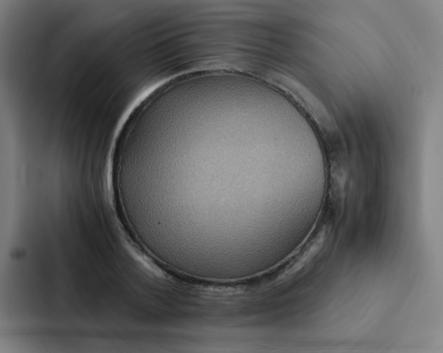 X0000087330788200705112156