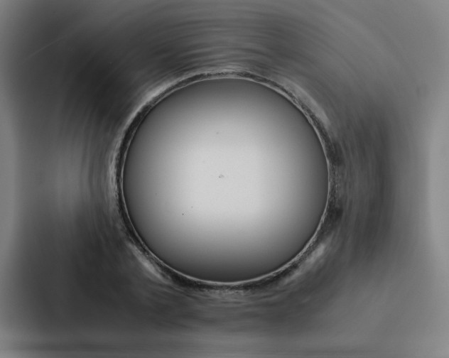 X0000087330789200705112156