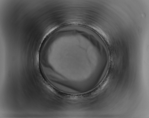 X0000087330790200705112156
