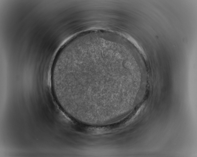 X0000087330791200705112156