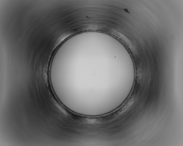X0000087330794200705112156