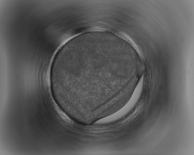X0000087330795200705112156