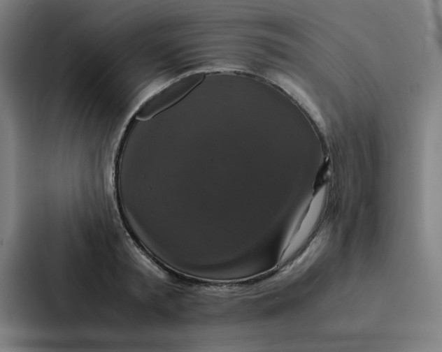 X0000087330797200705112156