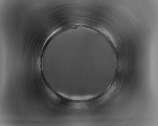 X0000087330798200705112156