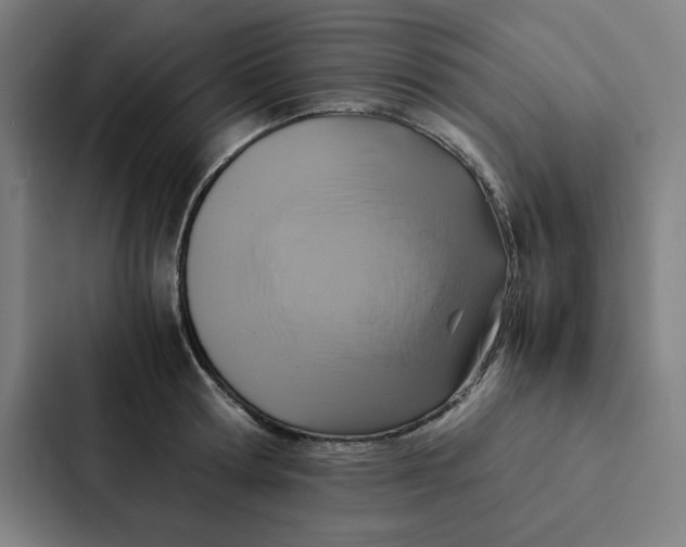 X0000087330802200705112156